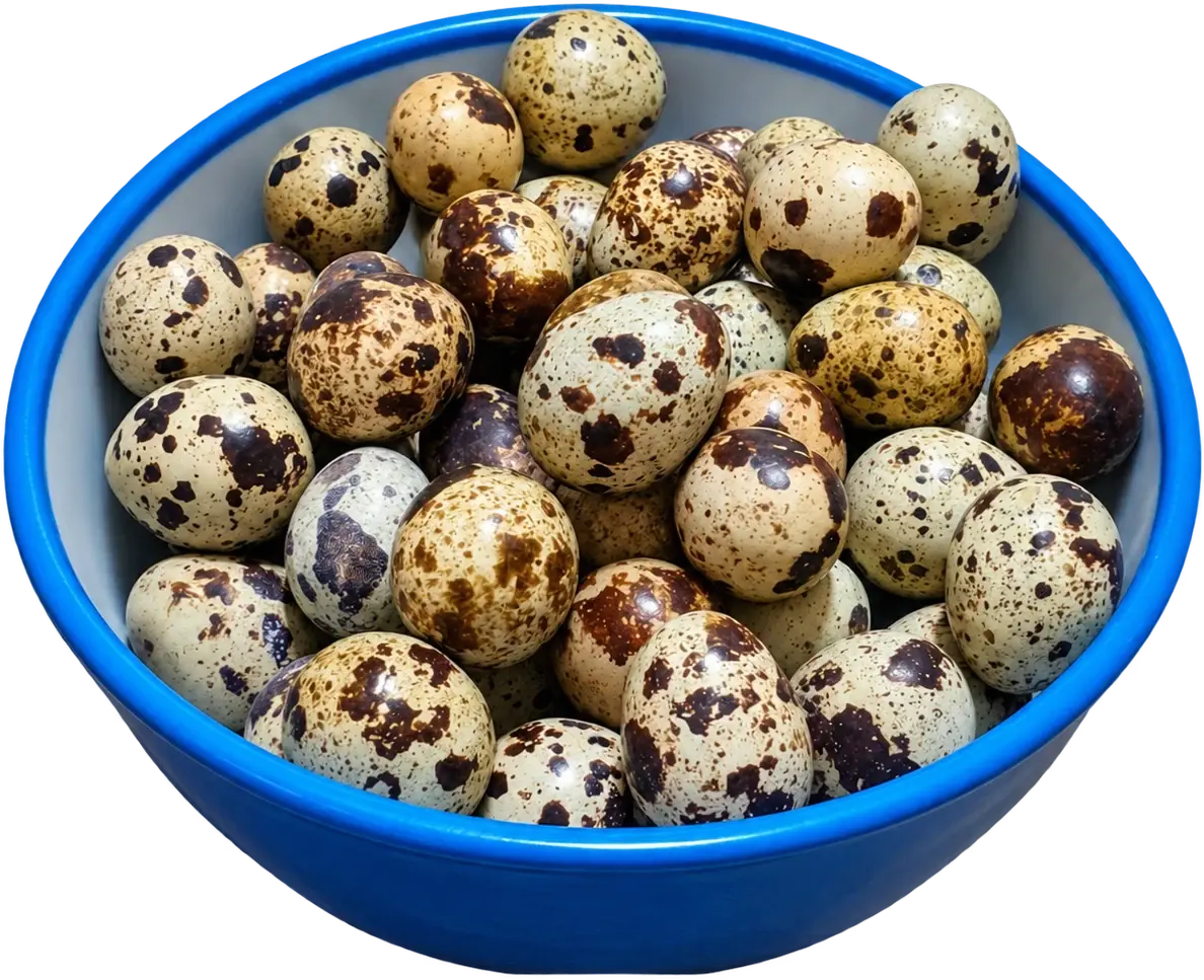 Modrá miska plná škvrnitých prepeličích vajec